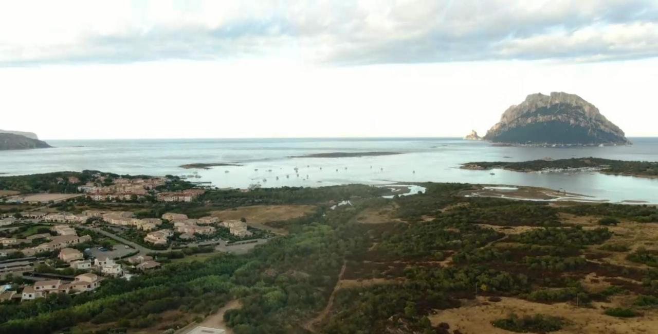 Villa Raffaello Porto San Paolo  Ngoại thất bức ảnh